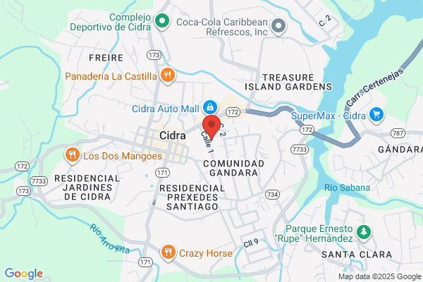 FLOR CIDRA