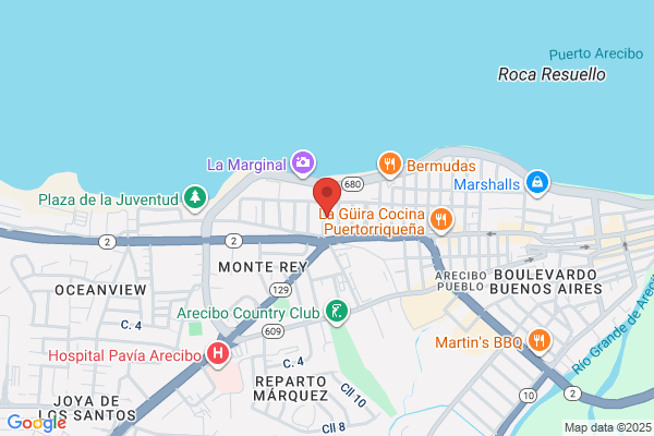 ARECIBO MEDICAL HOME CARE INC