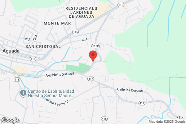 HOSPICIO SANTA RITA INC