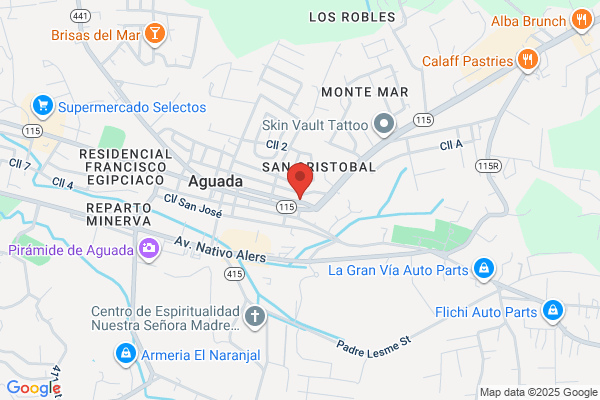 FARMACIA DEL PUEBLO