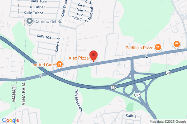 ALEX PIZZA