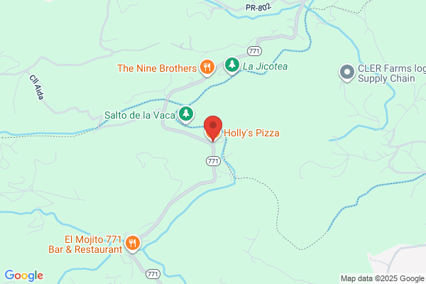HOLLYS PIZZERIAS