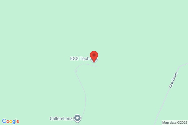EGGIE PLOM TECH