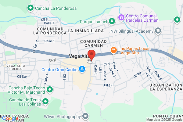 123 CORP VEGA ALTA