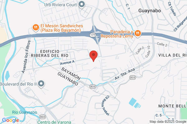 BALDWIN SCHOOL OF PUERTO RICO