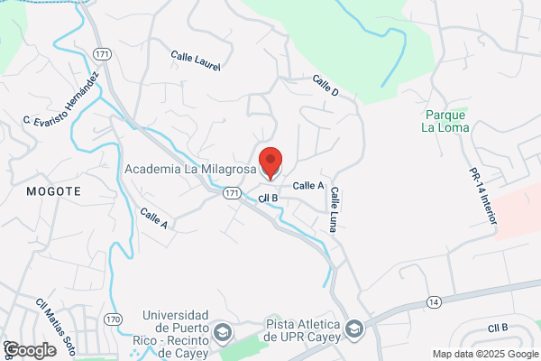 ACADEMIA LA MILAGROS