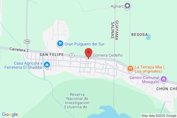 GOMERA CEDENO