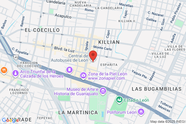 TRANSPORTE DE LEON