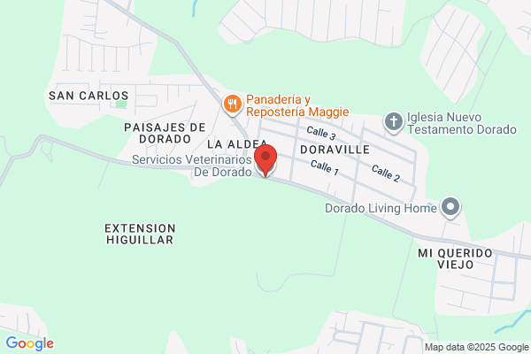 DORADO VETERINARY CLINIC