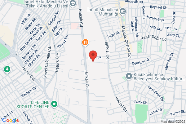 LINDISSIMA SHOPS INC