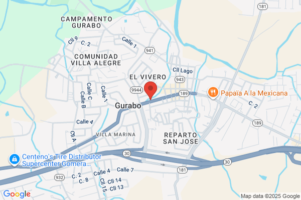 GURABO AUTO PARTS