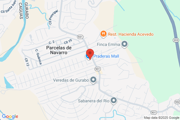 GURABO COMMUNITY HEALTH CTR