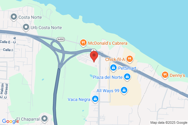 CORCOVADO AUTO SALES INC