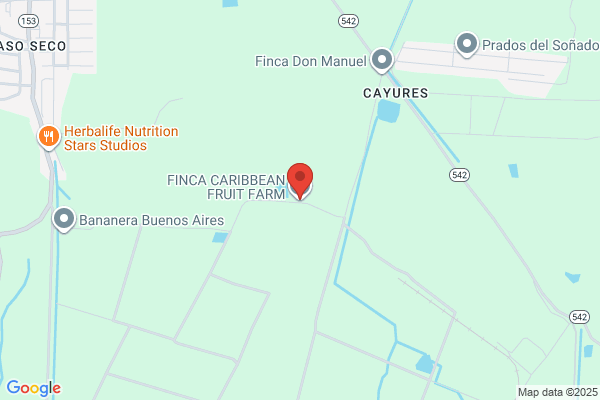 CARIBBEAN FRUTI INC