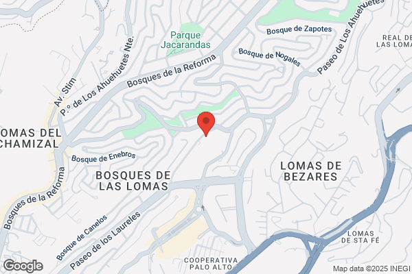 COLEGIO DE CONTADORES PUBLICOS