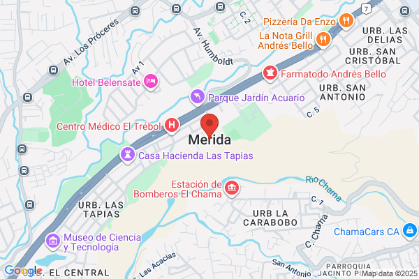 GALERIA MATICES