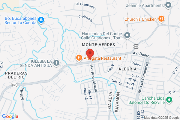 ASOCIACION RES MONTE VERDE INC