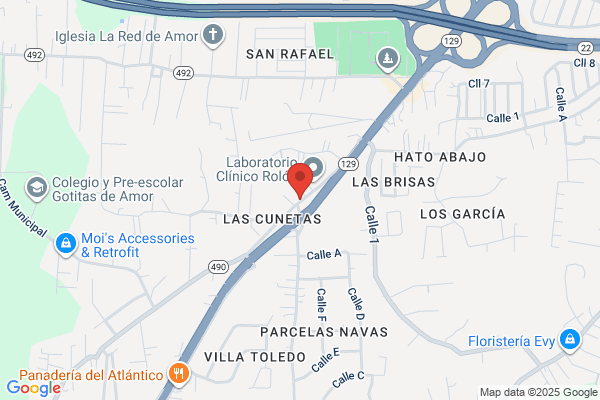 ARECIBO CASH & CARRY AUTO PART