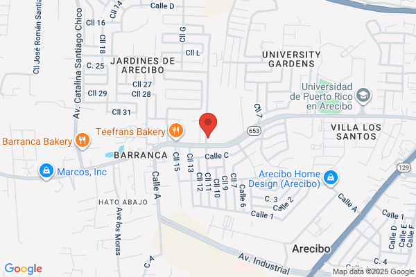 AUTO PIEZAS DE ARECIBO INC