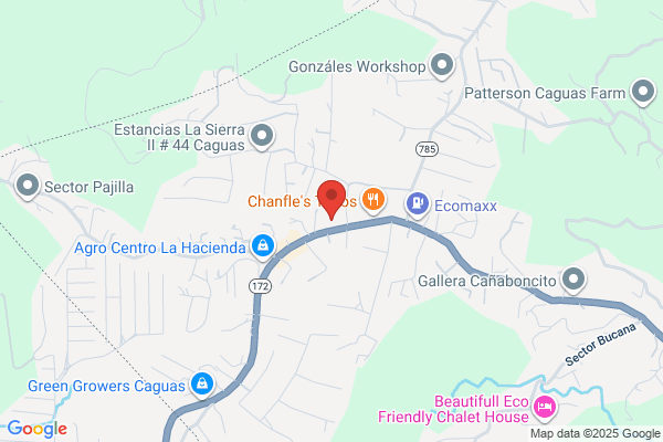 CAGUAS BAKERY