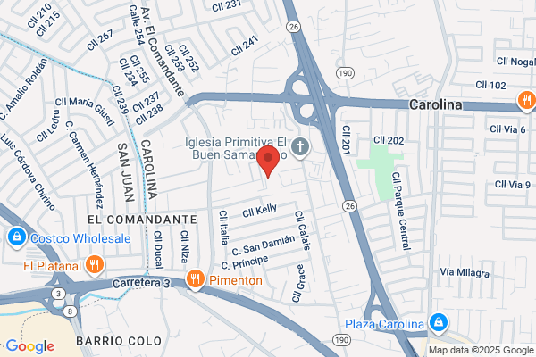 ICG OF PUERTO RICO INC