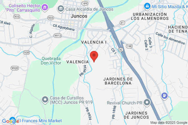 COLEGIO LA LUZ INC