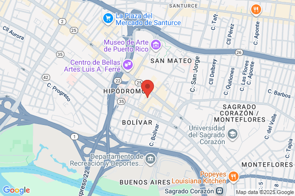 ACADEMIA DE ARTES EL SENORAL
