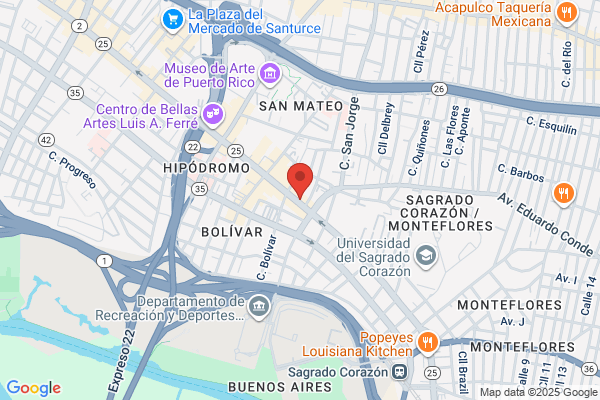 INSTITUTO BALLET MODERNO