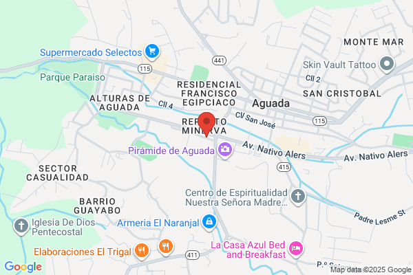 SANTOS COMPUTER & SVC INC