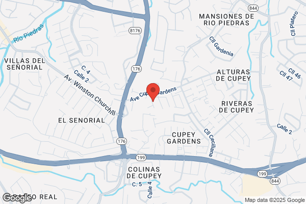CAPARRA ELECTRICAL CONTRACTORS