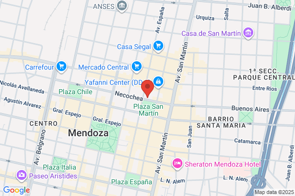 MENDOZA FINANCE