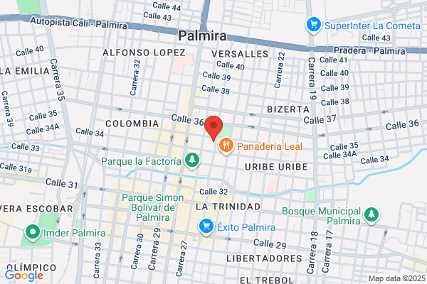 EL MUNDO DE LAS FLORES