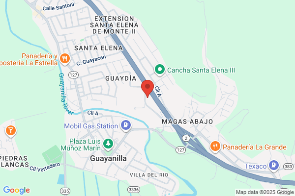 GUAYANILLA ELECTRONIC