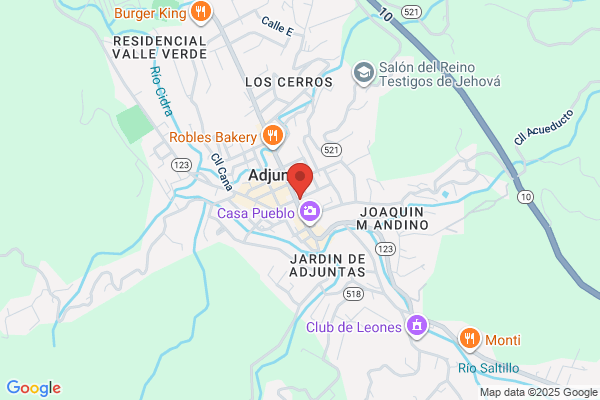 HOSPICIO DE ADJUNTAS INC