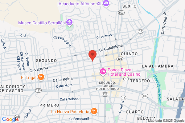 SERVICIOS DE SALUD EN EL HOGAR