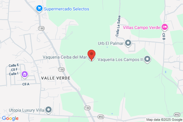 VAQUERIA IBERIA INC