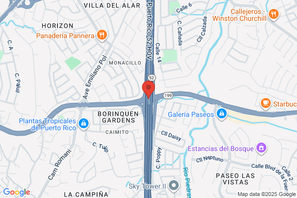 E NEGRON RODRIGUEZ INC