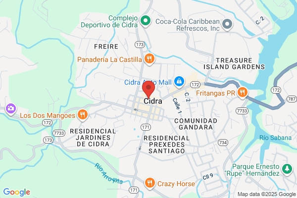 FARMACIA CSF CIDRA