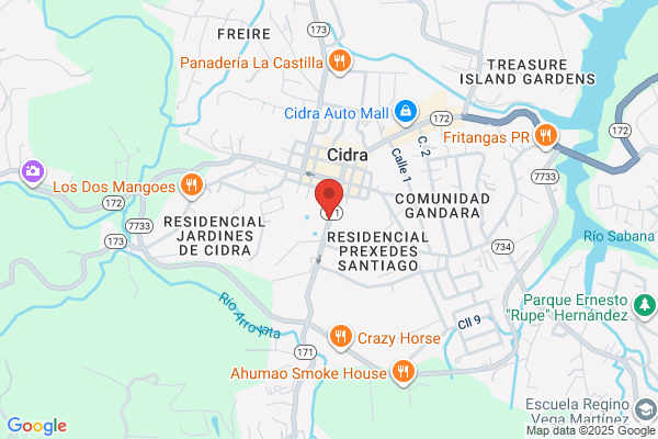 CIDRA MEDICAL HOSPITAL SUPPLY