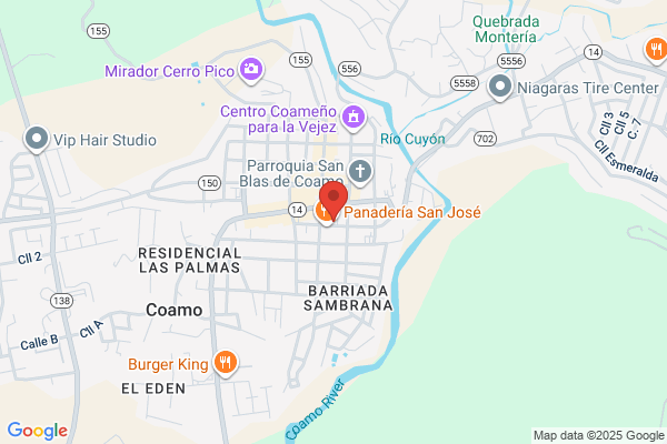 COAMO MEDICAL INC