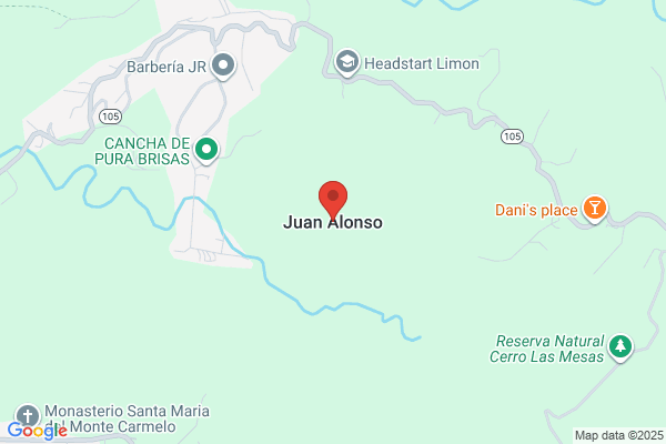 NEMESIO RUIZ ALONSO