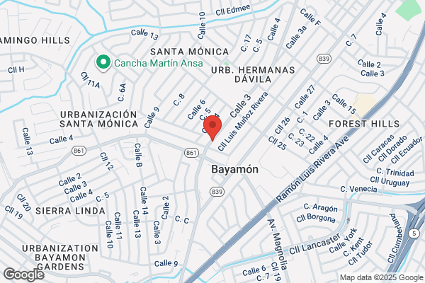 BAYAMON REALTY & INVESTMENT
