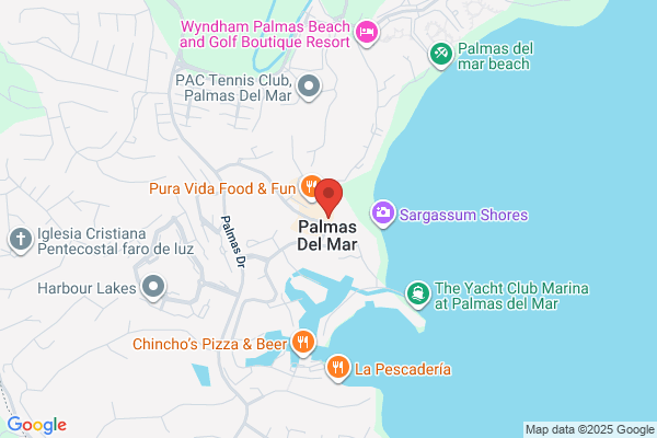 PALMANOVA CORP