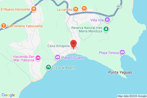 AMAPOLA REAL ESTATE
