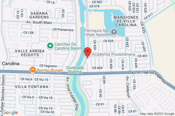 ACADEMIA PRESBITERIANA