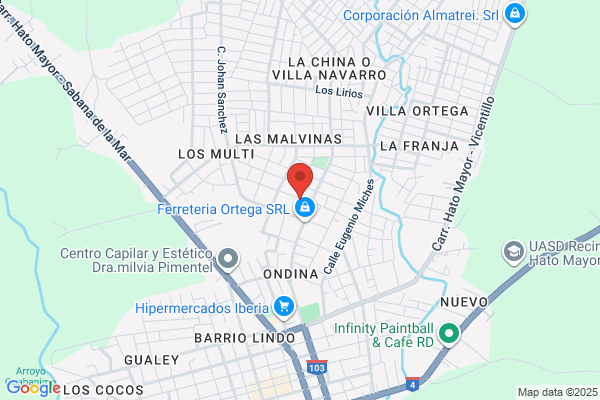 COLEGIO EVANGELICO
