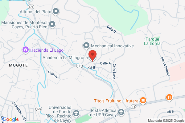 ACADEMIA LA MILAGROS