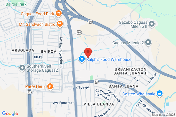OCCIDENTAL SECURITY CONSULTANT