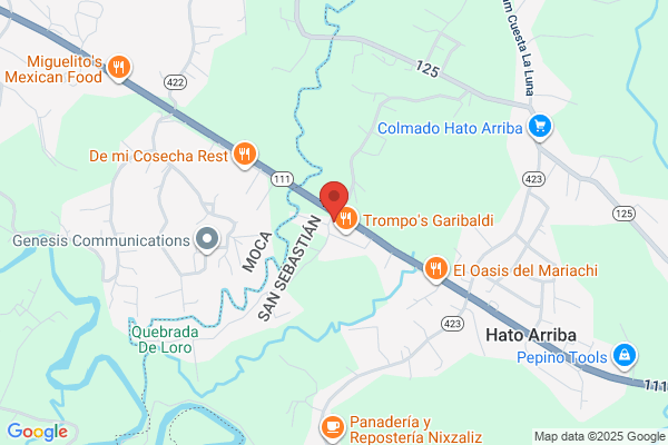 GOMERA VOLADORA