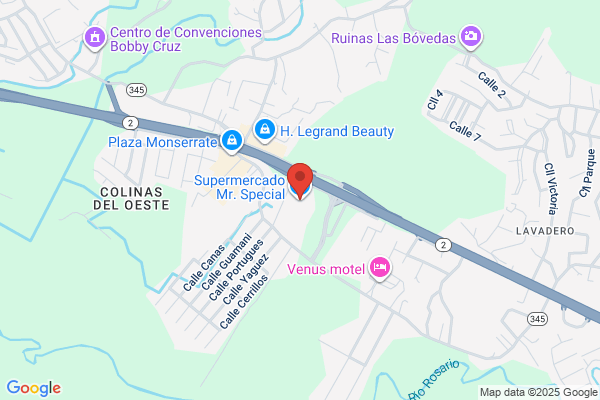 LUIS MINGUELA PAGAN GROCERY